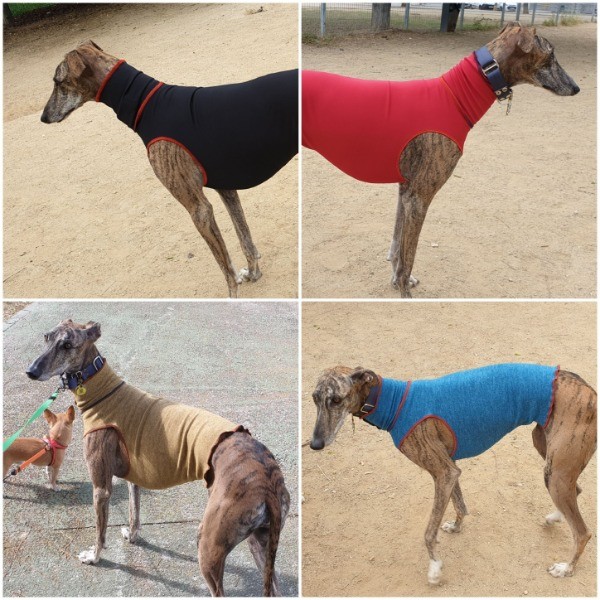 Jerseys y complementos, GALGO Y WHIPPET