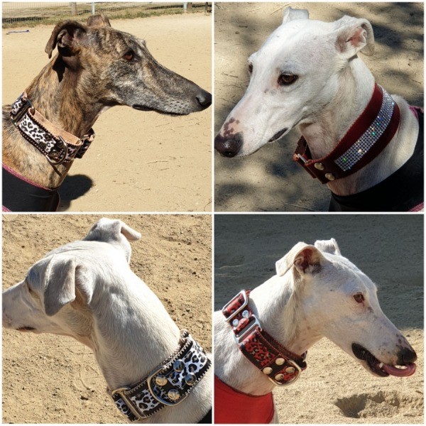 Martingale  colección exclusiva.