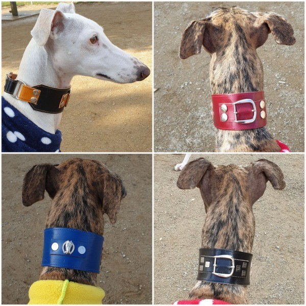 Martingale Colección Exclusiva