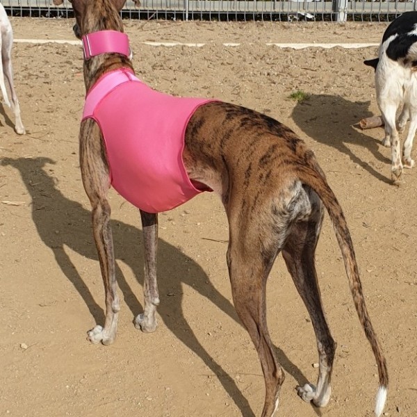 Peto de lycra Rosa Fluo (siempre visibles)
