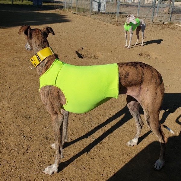 Peto Amarillo Fluo (siempre visibles)
