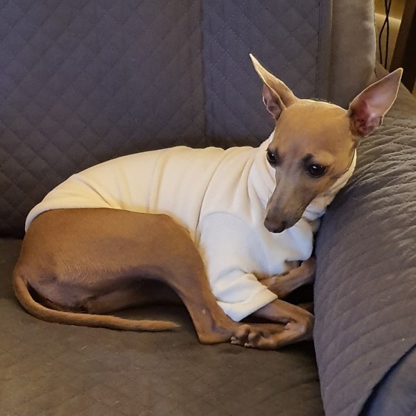 JERSEY DE CORALINA CRUDO