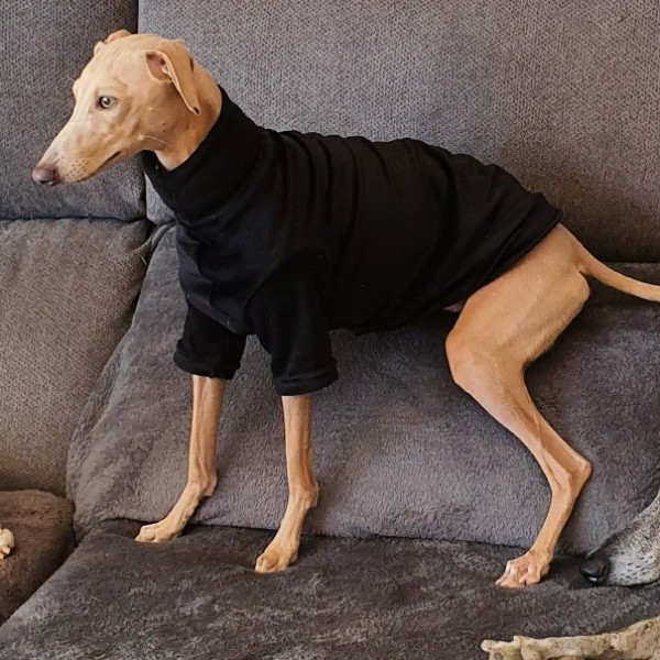 JERSEY DE CORALINA NEGRO