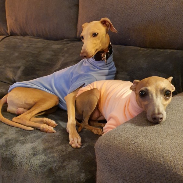 JERSEY DE CORALINA ROSA