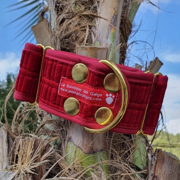 MARTINGALE PANA GRANATE 5 CM